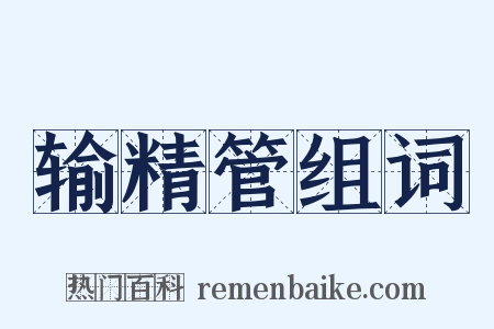 输精管组词是什么意思的图片